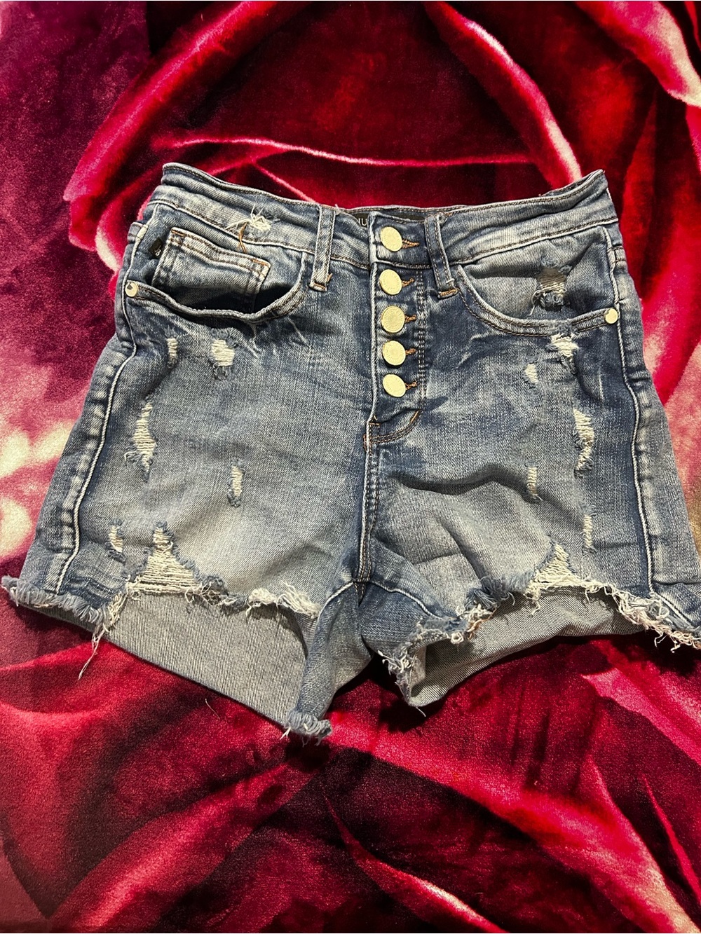 Judy Blue Button-Fly Distressed Denim Shorts - Blue